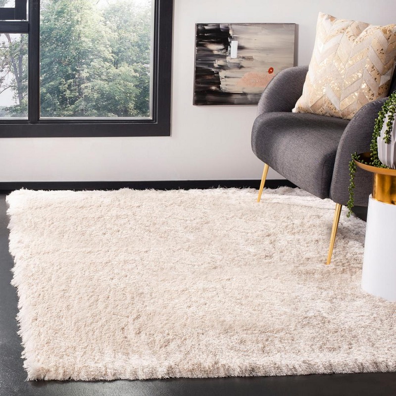 Rug Carpet